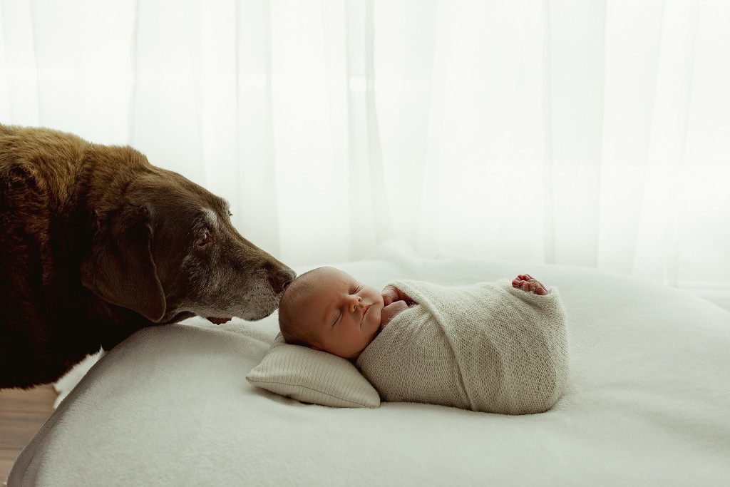 Newborn photo with dog