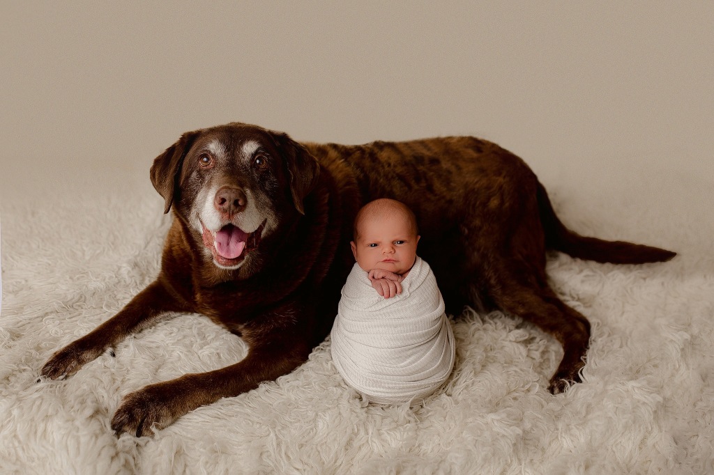 studio newborn photography session with dog